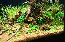 DSC02014.jpg