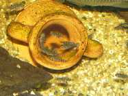 Bild 260.jpg