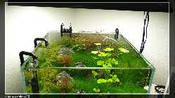 comp_DSC00067.jpg