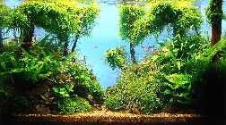 003_(1024_x_768).jpg