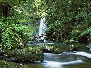 Hopetoun Falls, Aire River, Otway National Park, Victoria, Australia small.jpg