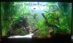 2012-03-22x1.jpg