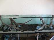 IMG_2418.jpg