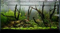 90er_05042012_1_nal.jpg