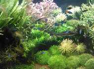 15.04.2012 Teil 4.xl.jpg