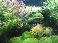 15.04.2012 Teil 3.xl.jpg