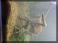 comp_Neueinrichtung Green Fingers 015.jpg