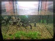 comp_Neueinrichtung Green Fingers 018.jpg