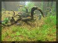 comp_Neueinrichtung Green Fingers 023.jpg