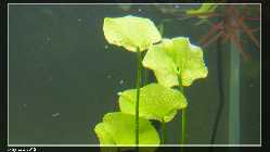 comp_DSC00132.jpg