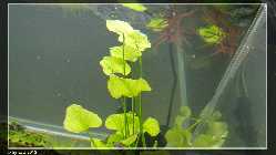 comp_DSC00136.jpg