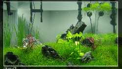 comp_DSC00146.jpg