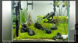 comp_DSC00277.jpg