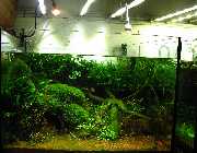 IMG_6134.jpg