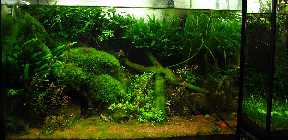 IMG_6136.jpg