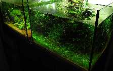 IMG_6147.jpg