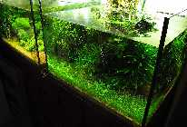 IMG_6149.jpg