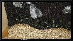 comp_DSC09774.jpg