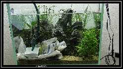 comp_DSC09793.jpg