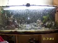 100_7538_(1280_x_1024).jpg