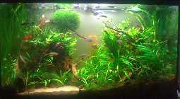 2012-06-11-x1.jpg