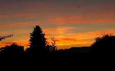 DSC01115 - Kopie.jpg