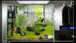 comp_DSC00360.jpg