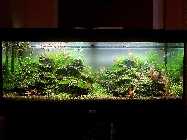 20120812_174504ba.jpg