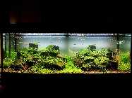 20120826_215257pa.jpg