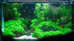 comp_Urlaub 2012 Port Grimaud 098.jpg