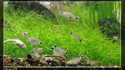 comp_DSC00748.jpg