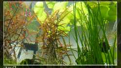 comp_DSC00758.jpg