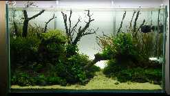 90er_LA3_261012_nal.jpg