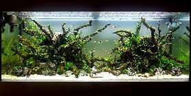 20121106_212159pa.jpg