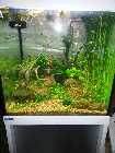 comp_Aqua 270 069.jpg