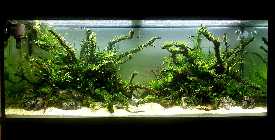 20121114_182150p.jpg
