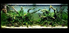 20121210_185705pa.jpg