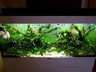 20121228_124456p.jpg
