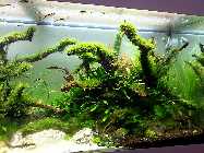 20121228_124605p.jpg