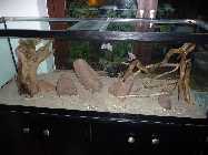 Hardscape.jpg