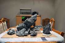 DSC_0053A1.jpg