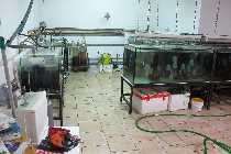 IMG_1042.jpg
