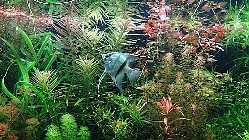 DSC01021kkkkkkkkkkkk.jpg