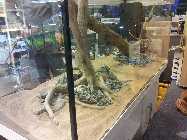20130222_184220.jpg