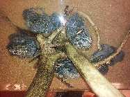 20130222_185221.jpg