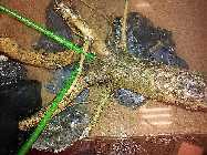 20130222_185235.jpg