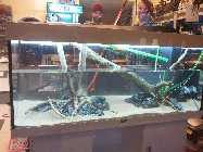 20130222_190030.jpg