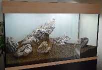 DSC_0102 (2).jpg