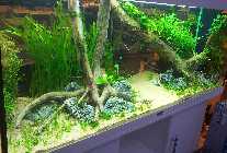 20130225_175521.jpg