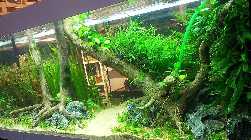 20130225_175606.jpg